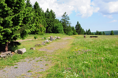 Bergwiesen um Sankt Andreasberg (Harz) - Bergwiesenblüte in 240 Bilder ...